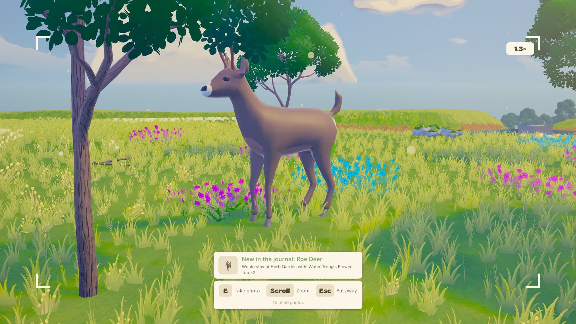 A roe deer for the journal